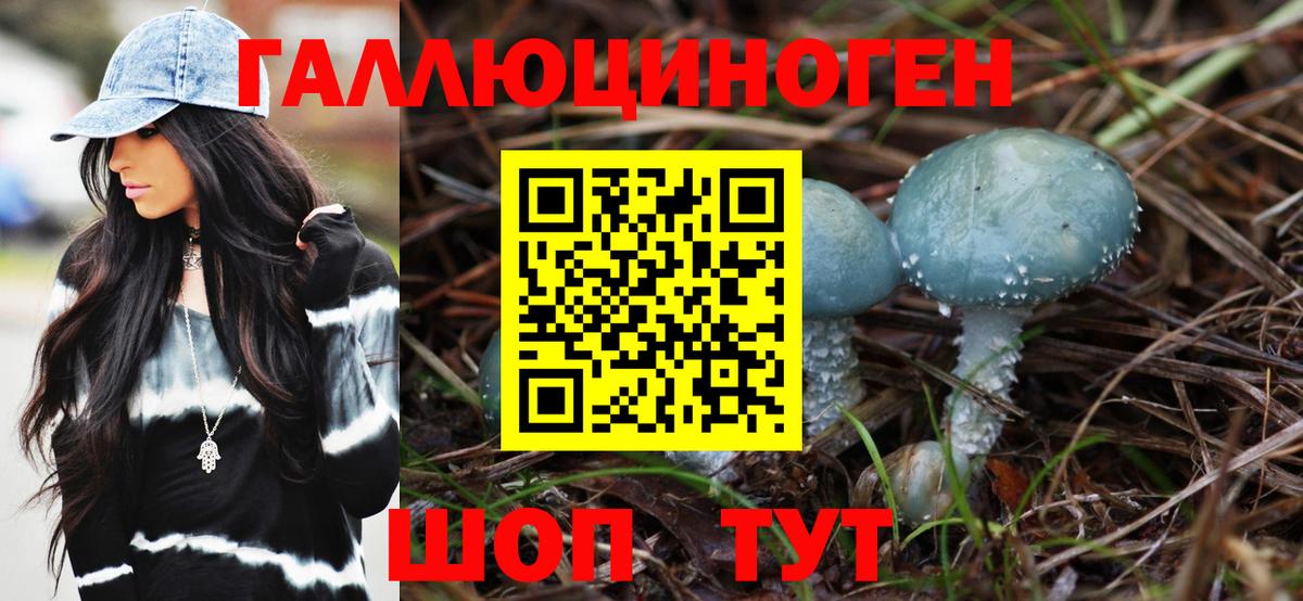 Псилоцибиновые грибы Psilocybine cubensis  Галлюциногенные грибы мицелий  Ачхой-Мартан  Вход с VPN 