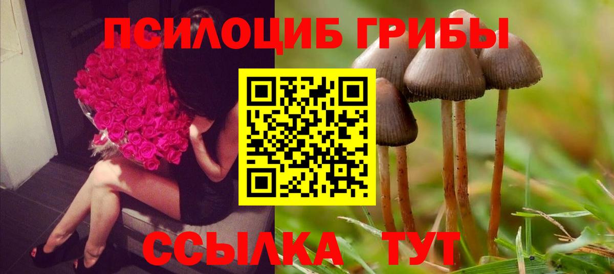 Псилоцибиновые грибы мухоморы Ачхой-Мартан